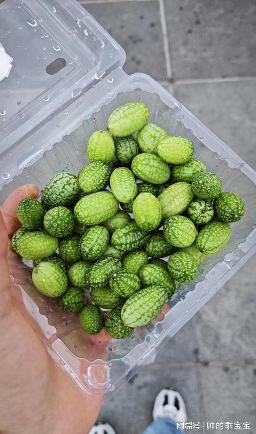 麻瓜可以吃吗,揭秘魔法世界中的可食用植物