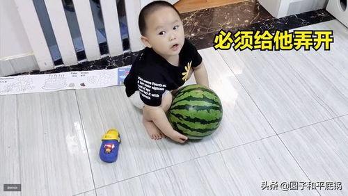 吃瓜的幼崽,揭秘娱乐圈那些不为人知的幕后故事