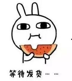 天宫吃瓜,揭秘太空吃瓜背后的航天科技与生活趣事