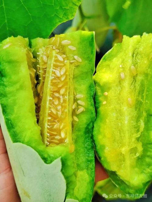 丰台吃瓜,探寻京城美食新地标