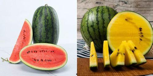 最新吃瓜网,吃瓜网独家爆料，明星幕后故事大公开！