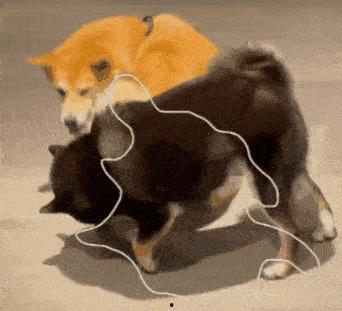 心机狗吃瓜头像,一场关于真相与误解的较量