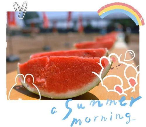 农村吃瓜炸裂现场,欢乐盛宴背后的温馨故事