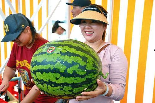 sweet吃瓜,跟随Sweet吃瓜，解锁夏日清凉新姿势