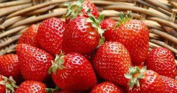 草莓和贝贝瓜能一起吃吗,健康搭配，美味共享