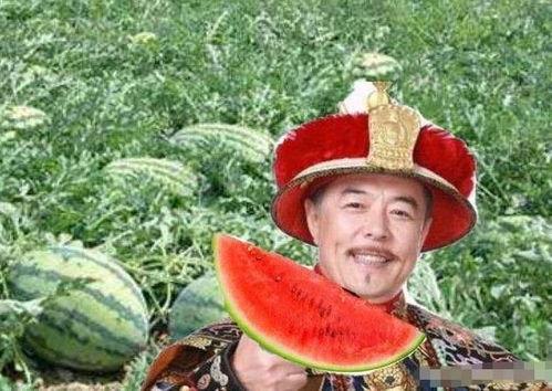 乾隆喜欢吃瓜,宫廷瓜果的品味与传说