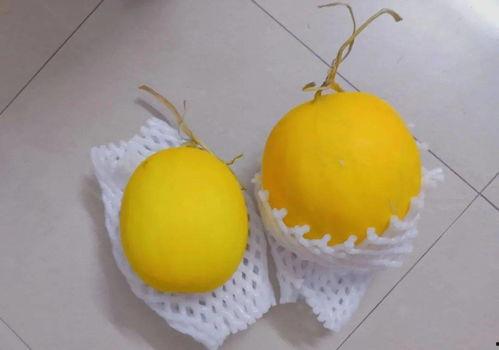 吃瓜烂肚子,揭秘网络谣言背后的真相