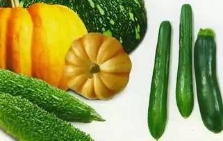 星座吃瓜,揭秘星座背后的八卦秘密