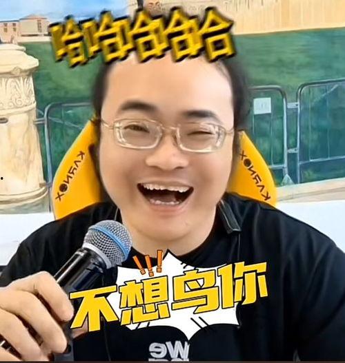 吃瓜哥倪海杉,揭秘娱乐圈背后的那些事儿