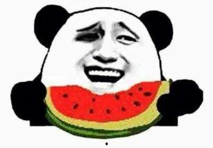 吃瓜群众你在哪,吃瓜群众视角下的娱乐圈风云变幻