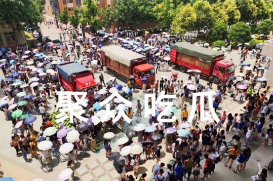 大学吃瓜场,揭秘校园里的八卦风云