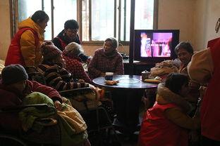 邵阳学院吃瓜视频,揭秘校园生活趣味瞬间