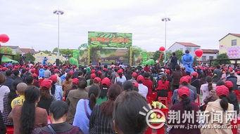 石首吃瓜比赛视频,一场视觉与味觉的双重盛宴