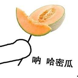 瓜中之王怎么吃,探索西瓜的极致美味