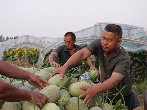 大军子吃瓜,揭秘娱乐圈幕后风云