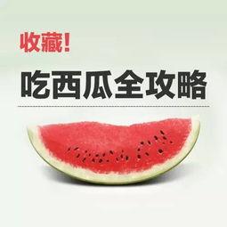 不会吃瓜的渣,探寻其背后的故事与真相