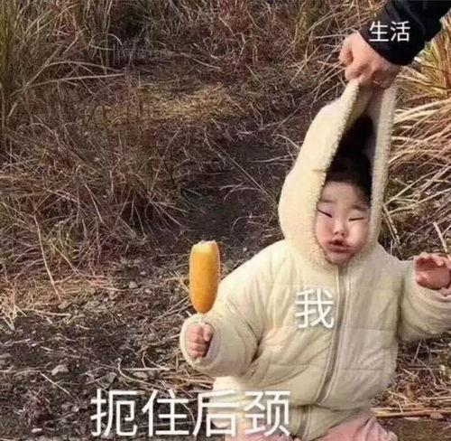 父母吃瓜沙雕图片,欢乐家庭日常大揭秘