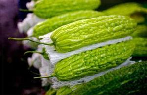 孕妇可以吃结瓜,孕妇适宜食用的结瓜佳品