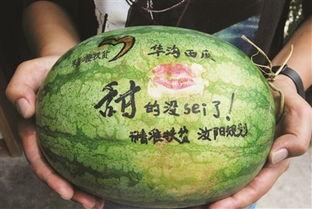 谷店吃瓜,揭秘网络热点的背后故事