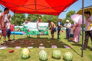 儿童吃瓜趣味活动,儿童欢乐吃瓜大赛