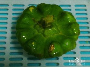 姜饼吃瓜,揭秘甜蜜背后的瓜界风云