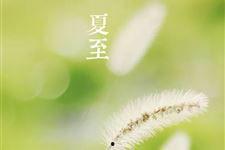 夏至吃瓜啥意思,探寻传统习俗中的清凉智慧