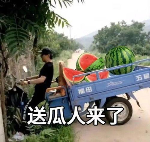 梦见兄弟姐妹吃瓜,揭秘兄弟姐妹共享瓜果的神秘寓意